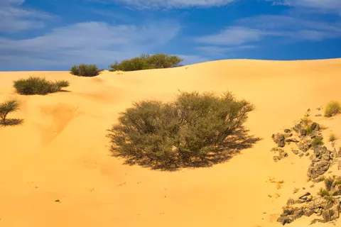 خلفية كثبان الصحراء بدقة 4K · nature · 3840×2563
