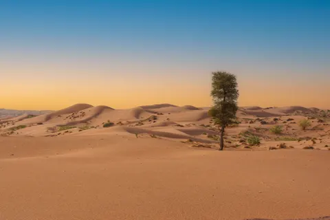 Desert Dunes 4K Wallpaper · nature · 3840×2560