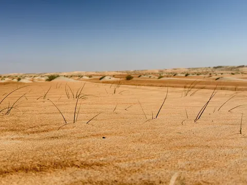 Desert Dunes 4K Wallpaper · nature · 3840×2880