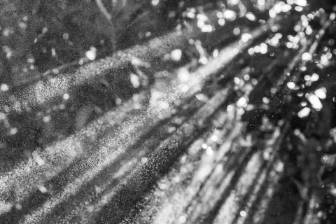 빛나는 입자 4K 배경화면 · abstract · 3840×2560