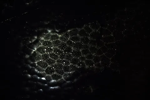 Papel de parede Partículas Brilhantes 4K · abstract · 3840×2560