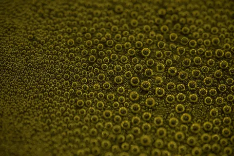 油彩气泡 4K壁纸 · abstract · 3840×2560