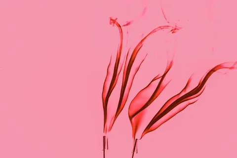 컬러 스모크 4K 배경화면 · abstract · 3840×2560