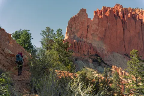 Canyon 4K Wallpaper · nature · 3840×2560