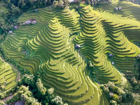계단식 논 4K 배경화면 · nature · 3840×2880
