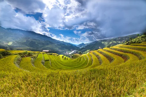 Fond d'écran Rizières en terrasses 4K · nature · 3840×2561