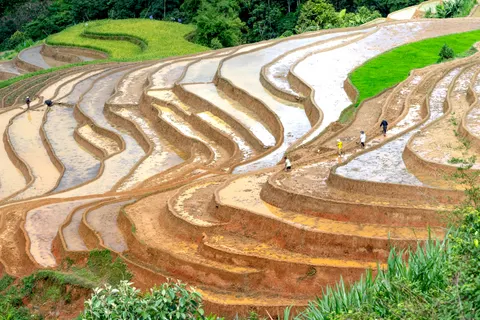 Rice Terraces 4K Wallpaper · nature · 3840×2560