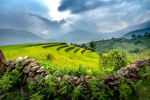 Rice Terraces 4K Wallpaper · nature · 3840×2561