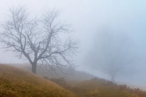 Lone Tree 4K Wallpaper · minimal · 3840×2563