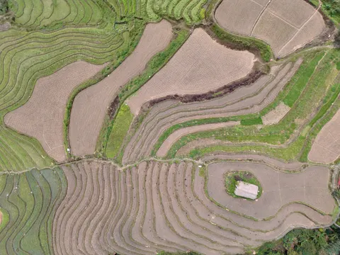 계단식 논 4K 배경화면 · nature · 3840×2880