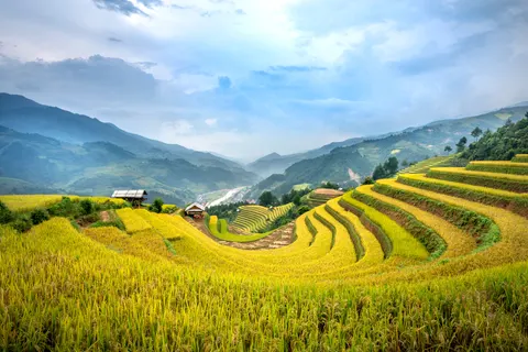 계단식 논 4K 배경화면 · nature · 3840×2561