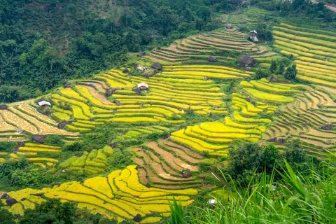 Rice Terraces 4K Wallpaper · nature · 3840×2561