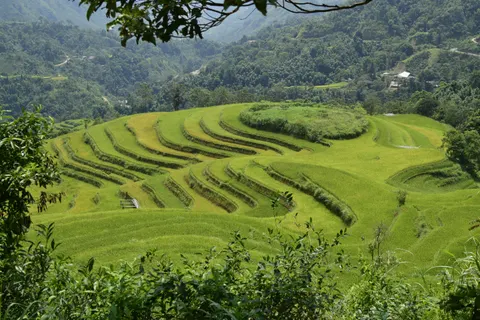 Rice Terraces 4K Wallpaper · nature · 3840×2560