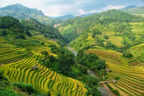 Rice Terraces 4K Wallpaper · nature · 3840×2560