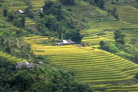 Rice Terraces 4K Wallpaper · nature · 3840×2560