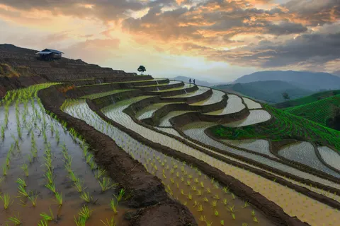 계단식 논 4K 배경화면 · nature · 3840×2559