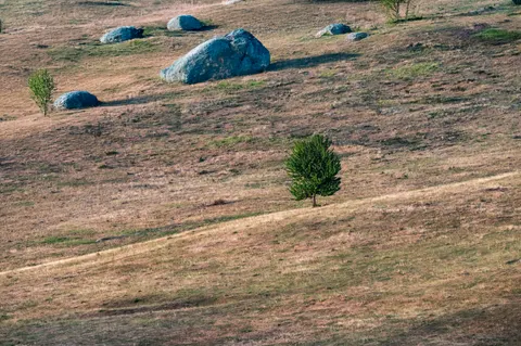 Lone Tree 4K Wallpaper · minimal · 3840×2555