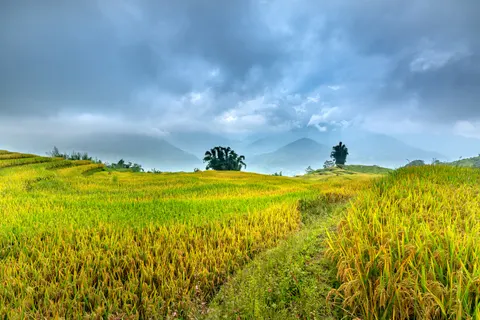 棚田 4K壁紙 · nature · 3840×2561