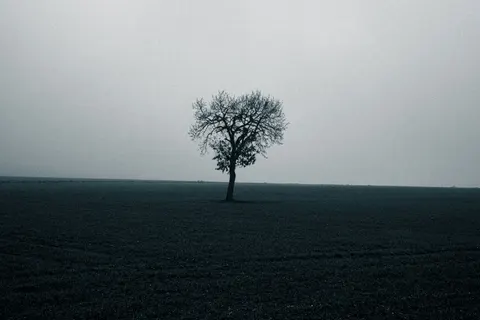 Lone Tree 4K Wallpaper · minimal · 3840×2560