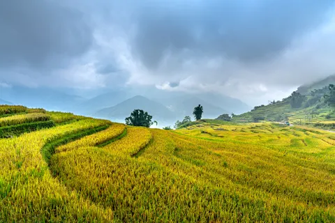 棚田 4K壁紙 · nature · 3840×2561