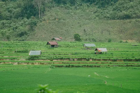 Rice Terraces 4K Wallpaper · nature · 3840×2560
