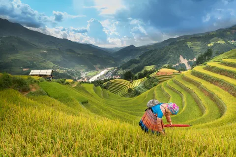 Rice Terraces 4K Wallpaper · nature · 3840×2561