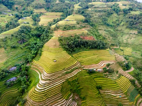 Papel de parede Terraços de arroz 4K · nature · 3840×2880