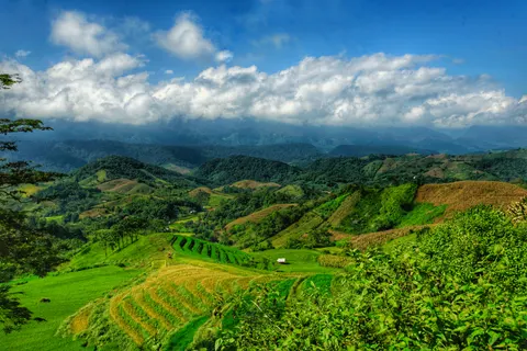 계단식 논 4K 배경화면 · nature · 3840×2563