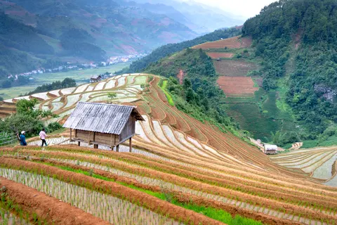 Rice Terraces 4K Wallpaper · nature · 3840×2560
