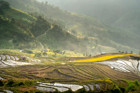 Rice Terraces 4K Wallpaper · nature · 3840×2561