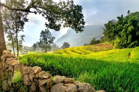계단식 논 4K 배경화면 · nature · 3840×2551