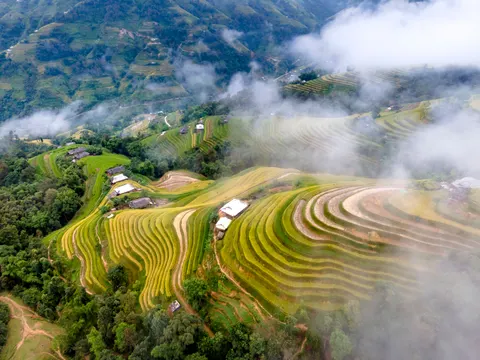 Rice Terraces 4K Wallpaper · nature · 3840×2880