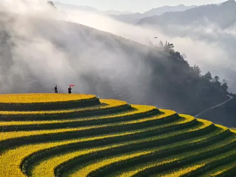 Rice Terraces 4K Wallpaper · nature · 3840×2880