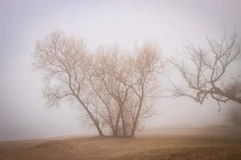 Lone Tree 4K Wallpaper · minimal · 3840×2560