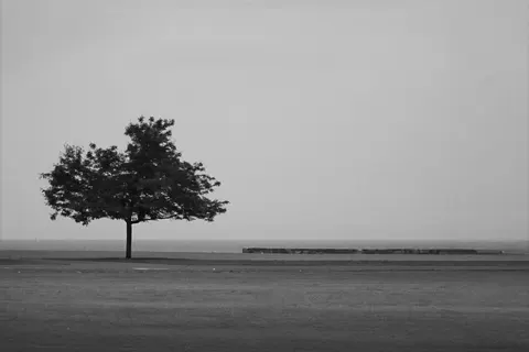 Lone Tree 4K Wallpaper · minimal · 3840×2560