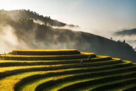 Reisterrassen 4K Hintergrundbild · nature · 3840×2561
