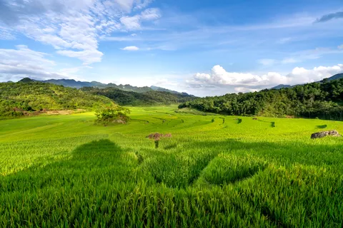 Rice Terraces 4K Wallpaper · nature · 3840×2561