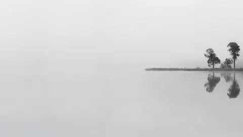 Lone Tree 4K Wallpaper · minimal · 3840×2160