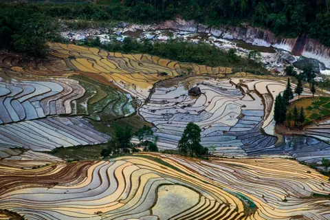 Rice Terraces 4K Wallpaper · nature · 3840×2560