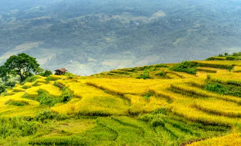 Rice Terraces 4K Wallpaper · nature · 3840×2326