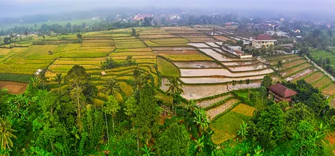 Rice Terraces 4K Wallpaper · nature · 3840×1789