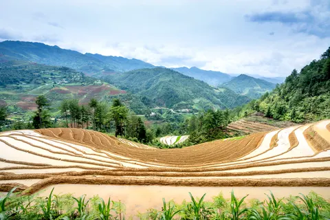 Rice Terraces 4K Wallpaper · nature · 3840×2560
