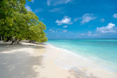 Tapeta Tropikalna Plaża 4K · ocean · 3840×2560