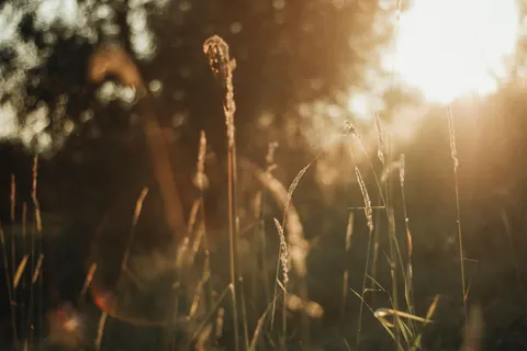 Fondo de pantalla Campo rural 4K · nature · 3840×2560