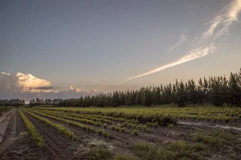 Обои Сельское поле 4K · nature · 3840×2563