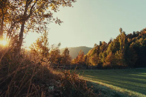 Countryside Field 4K Wallpaper · nature · 3840×2560
