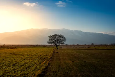 田舎の畑 4K壁紙 · nature · 3840×2563
