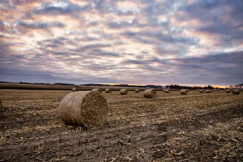 Countryside Field 4K Wallpaper · nature · 3840×2560