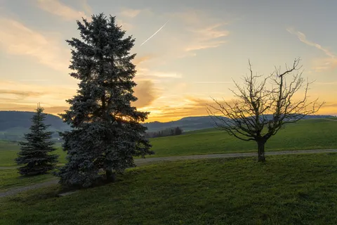 Fondo de pantalla Campo rural 4K · nature · 3840×2560