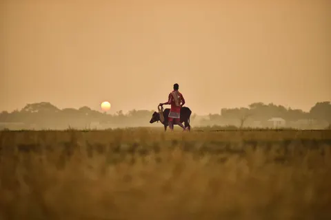 Countryside Field 4K Wallpaper · nature · 3840×2563